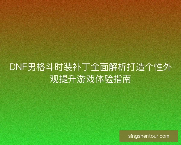 DNF男格斗时装补丁全面解析打造个性外观提升游戏体验指南
